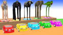 make animal crossing fountain for youtube
