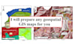 prepare any geospatial gis maps for you