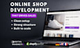 build a professional shopify store for your business