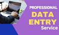 ms word excel data entry, copy and paste, pdf conversion