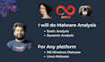 do malware sample analysis