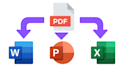 convert pdf to word