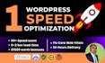 do professional wordpress speed optimization for google pagespeed insights