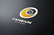 make a awesome 3d logo design and animation services