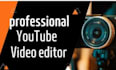 do a professional documentary youtube video editing within 24 hours