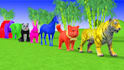 create 3d animals animation for kids learning