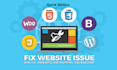 fix complex errors, bugs, and CSS, provide wordpress issues, and help