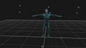 provide industry standard optical motion capture data