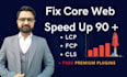 speed optimization with in 2 hours on gtmetrix pagespeed insights