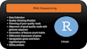 do rna sequencing and transcriptome data analysis