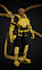 create 3d models from images, videos, ideas,,,