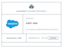 develop custom salesforce solutions for your business