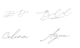 design artistic signature or autograph