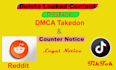 delete copyrighted, leaked content reddit, tiktok under dmca