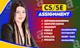 do computer science assignment, computer programming, projects and reports