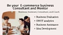 be your ecommerce consultant for new shopify store, mentor, or ecommerce coach