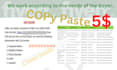 do data entry, copy paste