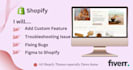 custom code shopify dawn theme
