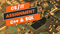 complete your computer science and IT assignments