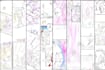 draw storyboard for webtoon, comics, videos, manga