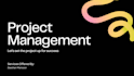 perform your project management pmo activities using microsoft project