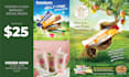 design advertising poster and flyer