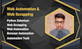 do python web automation and business automation solutions
