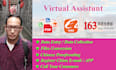 be your chinese virtual assistant web search date entry app test in china