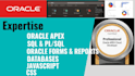 develop, design and customize oracle apex applications