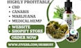 design medical cannabis cbd shopify tobacco marijuana weed vape hemp website