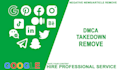 professional dmca content removal service