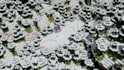 create a minecraft animation for your content