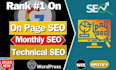 optimize website on page tecnical SEO expert