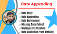 do company data appending, data enrichment, data entry