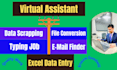 do data entry, file conversion, copy paste, web scraping