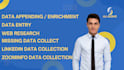 do data enrichment and data entry