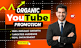 do youtube video promotion through google ads