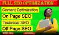 do advanced technical s eo on page seo consult and solutions