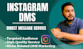 provide targeted instagram dms or direct messaging service using manual outreach