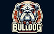 make eye catching bull dog mascot logo only 12 hours
