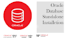 oracle database standalone installation
