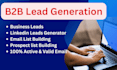 professional b2b lead generation services