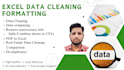 do expert data cleansing, formatting, organizing in 24hour