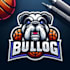 create super mascot cartoon bull dog logo design