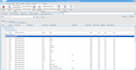 develop desktop application with devexpress