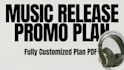 create a custom music release plan for you