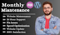 do monthly wordpress website maintenance, security, support, updates,  and help