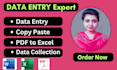do data entry and copy paste job