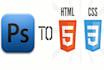 develop responsive, Dynamic Websites and software