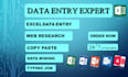 do data entry,ms excel data entry,copy paste, web research,typing job